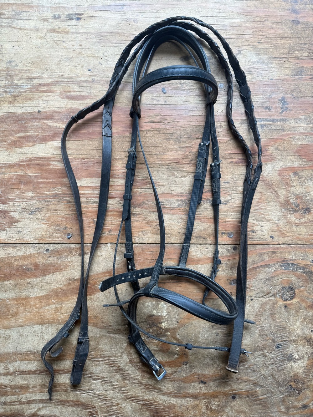 Wintec bridle